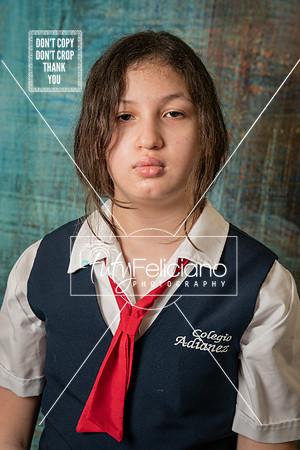 Adianez 3-1476