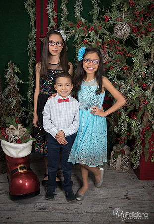 2017-Navidad-8