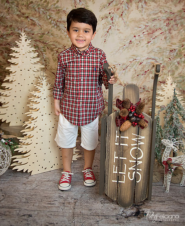 Navidad-18580