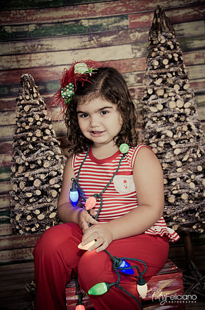 Navidad 2014-1595