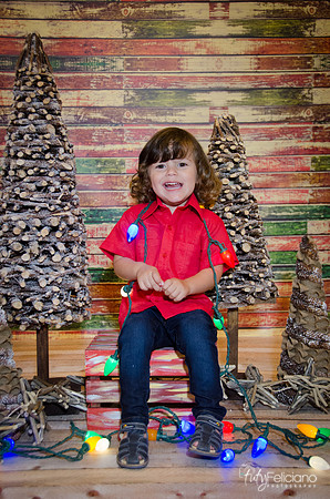 navidad 2014-11691