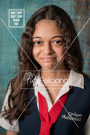 Adianez 3-1563