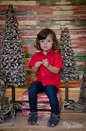 navidad 2014-11533
