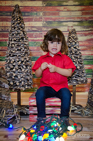 navidad 2014-11584