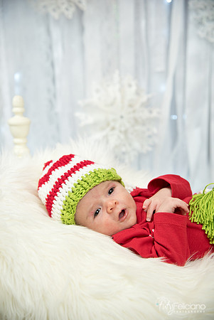 Navidad-2806