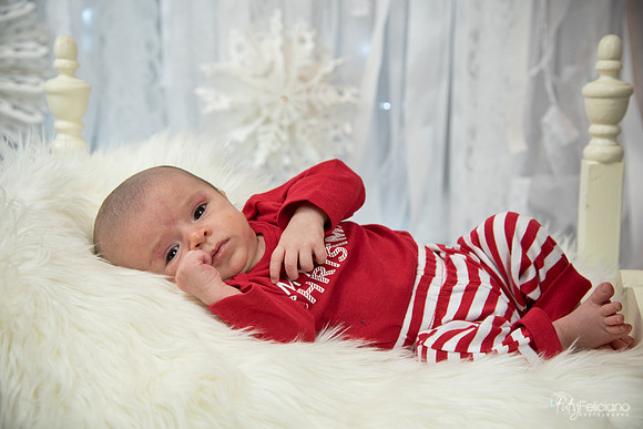 Navidad-2767