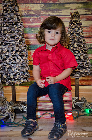 navidad 2014-11636