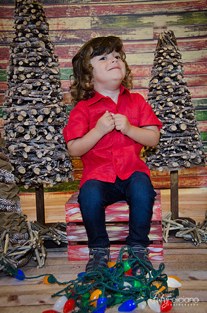 navidad 2014-11627