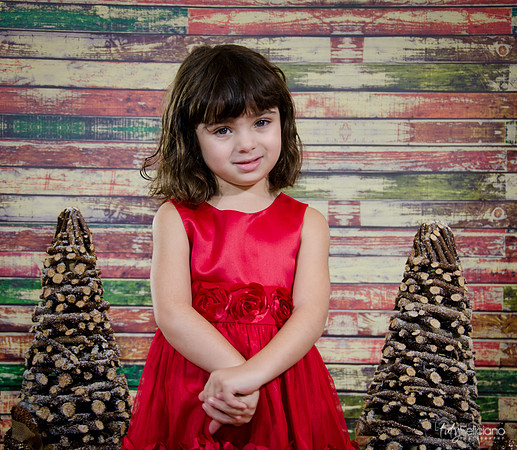 Navidad2014-121538