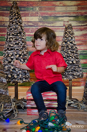 navidad 2014-11606