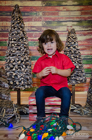 navidad 2014-11580