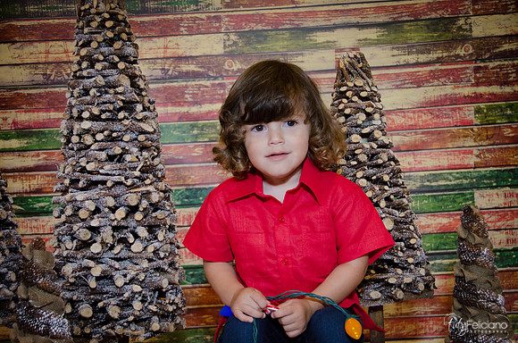 navidad 2014-11660