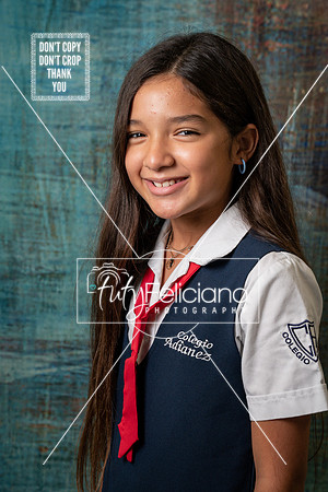 Adianez 4-2667