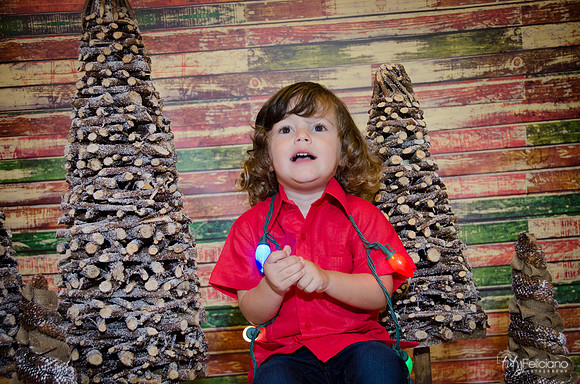 navidad 2014-11703
