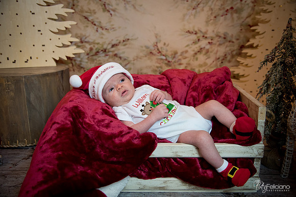 Navidad-3036