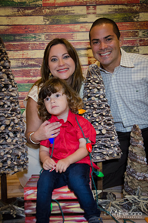 navidad 2014-11734