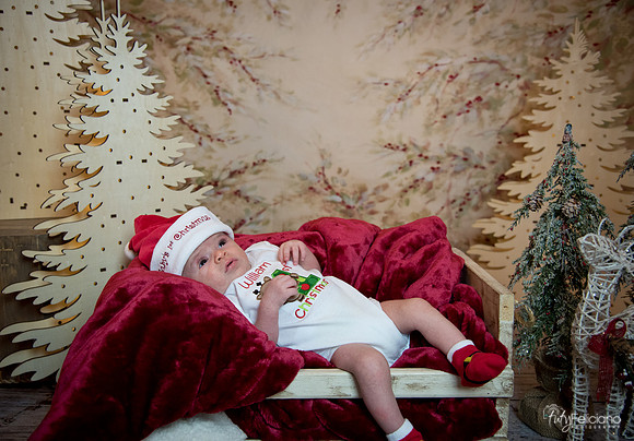 Navidad-3012