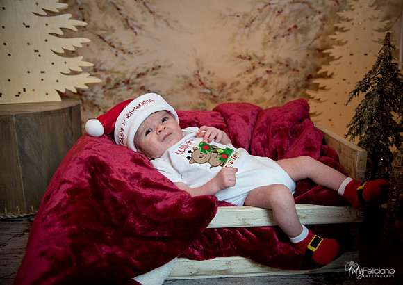 Navidad-3061