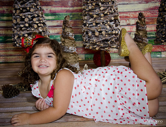 Navidad 2014-1098