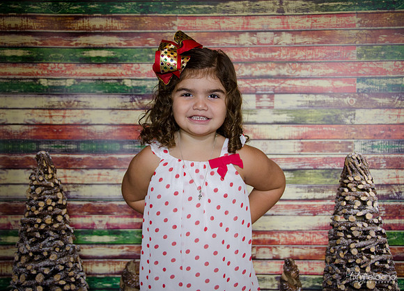 Navidad 2014-1186