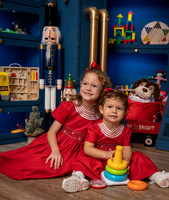 2 SME -2495