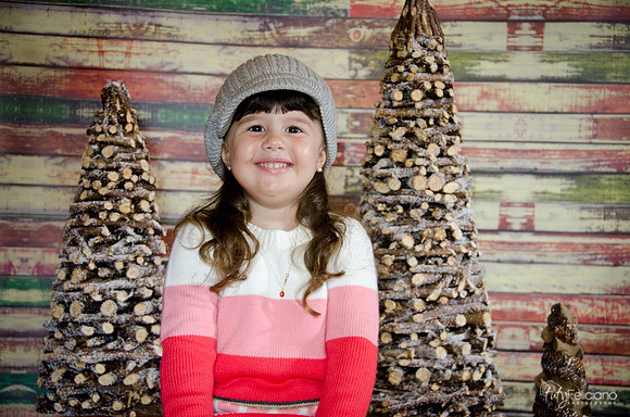 navidad 2014-2846