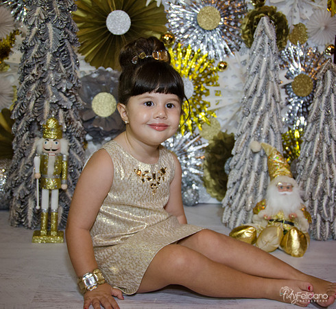 navidad 2014-2362