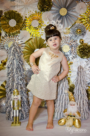 navidad 2014-2479