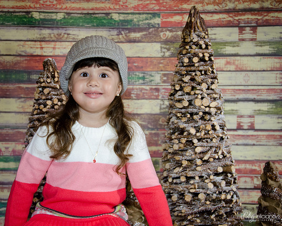 navidad 2014-2841