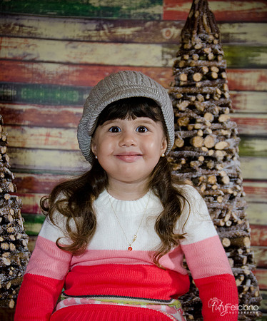 navidad 2014-2817