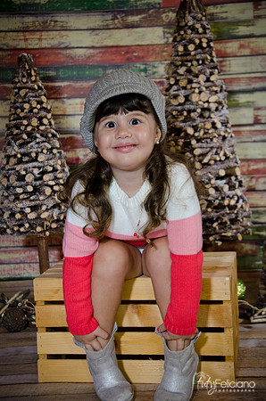 navidad 2014-2811