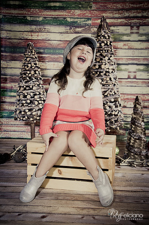 navidad 2014-2836