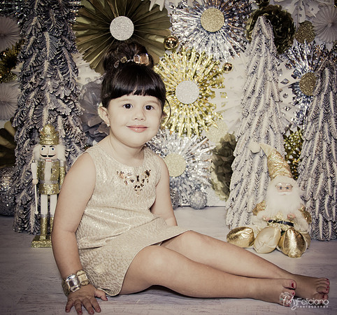 navidad 2014-2361