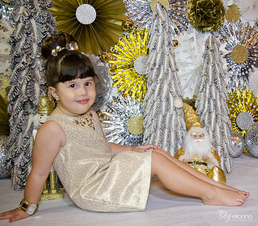 navidad 2014-2390