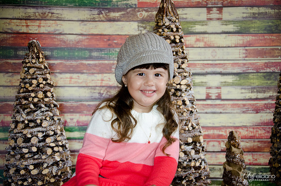 navidad 2014-2859