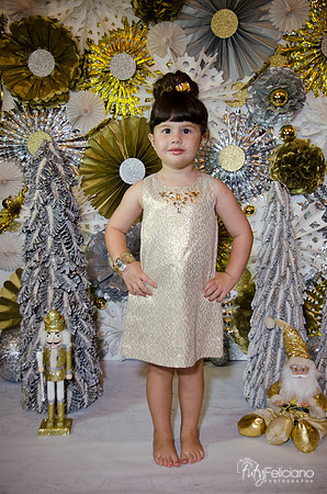 navidad 2014-2300