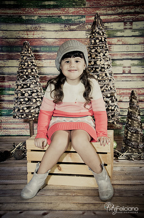 navidad 2014-2830