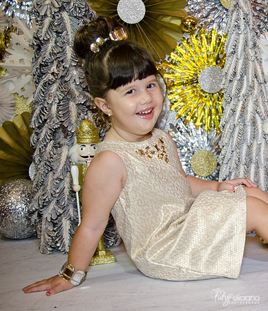 navidad 2014-2393