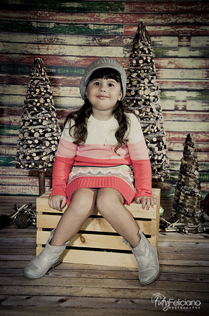 navidad 2014-2824