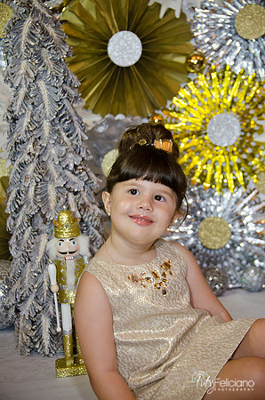 navidad 2014-2364