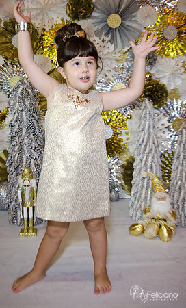 navidad 2014-2345