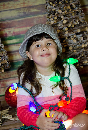 navidad 2014-2919