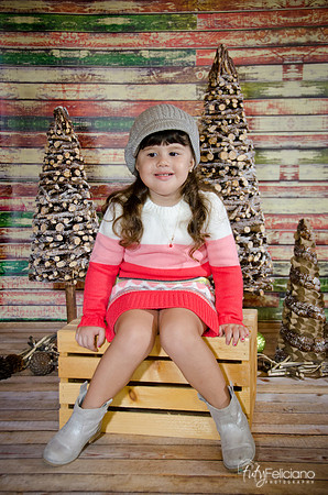 navidad 2014-2831