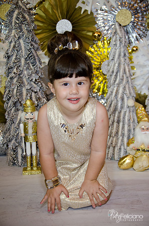 navidad 2014-2424