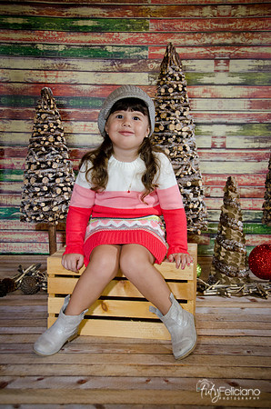 navidad 2014-2822