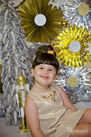 navidad 2014-2367