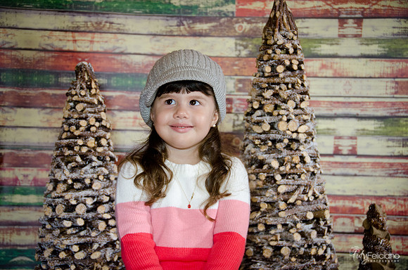 navidad 2014-2851