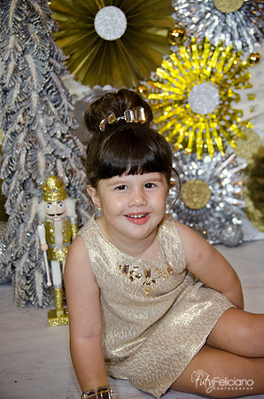 navidad 2014-2381