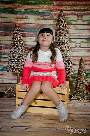 navidad 2014-2825