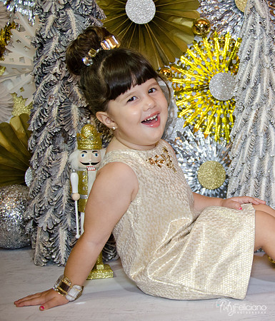 navidad 2014-2392